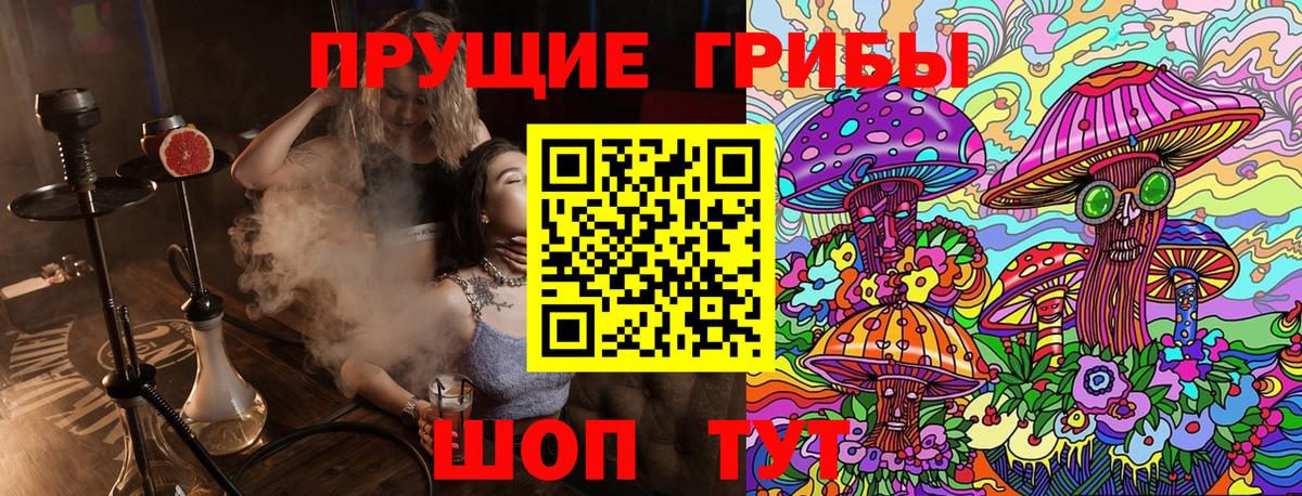 Кировск  как найти закладки  Вход с VPN  Галлюциногенные грибы Cubensis 