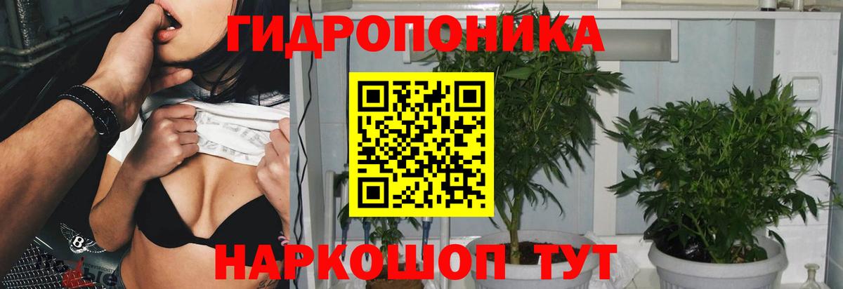 Бошки марихуана тримм Кировск